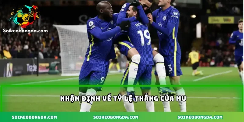 3-nhan-dinh-ve-ty-le-thang-cua-mu