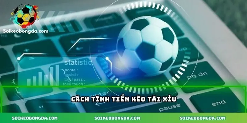vi-du-cu-the-ve-cach-tinh-tien-keo-chuan-xac