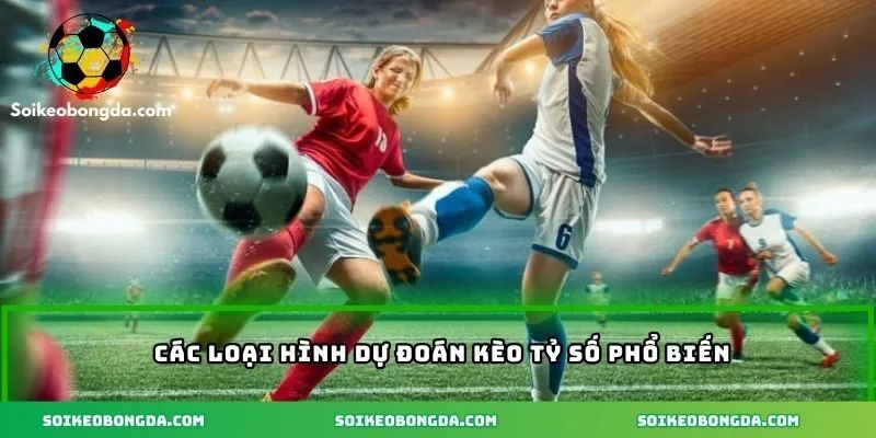 3-cac-loai-du-doan-keo-ty-so-cuc-hay-va-pho-bien-hien-nay