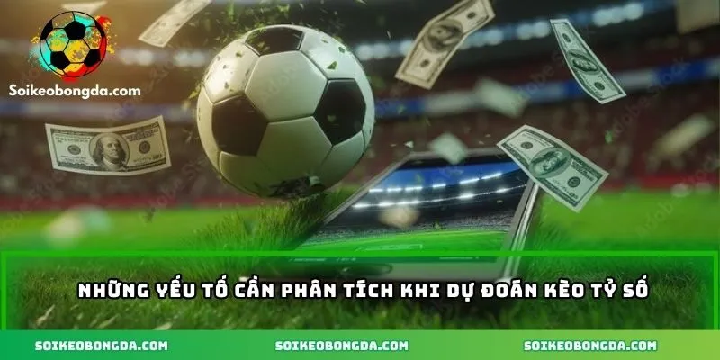 4-cac-yeu-to-can-phan-tich-va-luu-y-khi-du-doan-ty-so