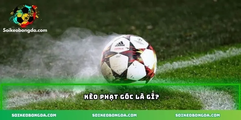 2-keo-phat-goc-la-hinh-thuc-du-doan-tinh-huong-phat-goc-thuong-xay-ra