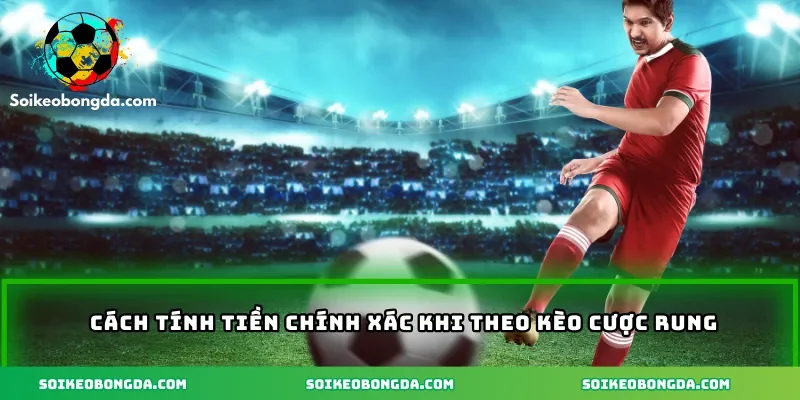 43-3-cach-tinh-tien-chinh-xach-khi-cuoc-theo-keo-rung