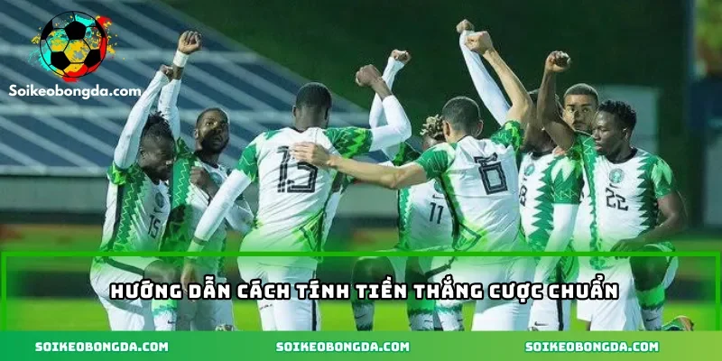 4-huong-dan-cach-tinh-tien-thang-cuoc-chuan