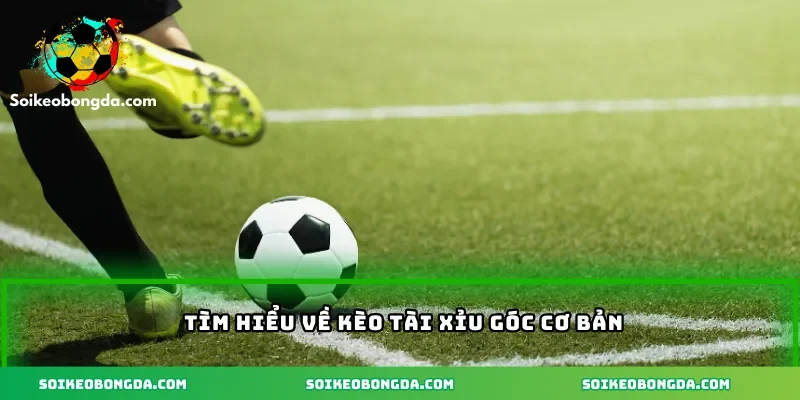 2-tim-hieu-co-ban-ve-keo-tai-xiu-goc.