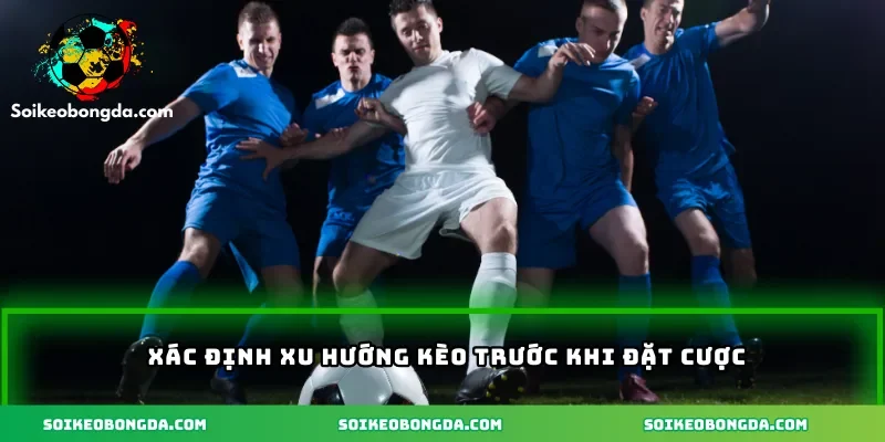 3-xac-dinh-xu-huong-khi-dat-cuoc