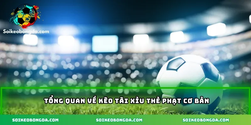 2-tong-quan-ve-keo-tai-xiu-the-phat-co-ban