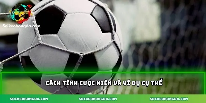 Cách tính cược xiên và ví dụ kèm theo