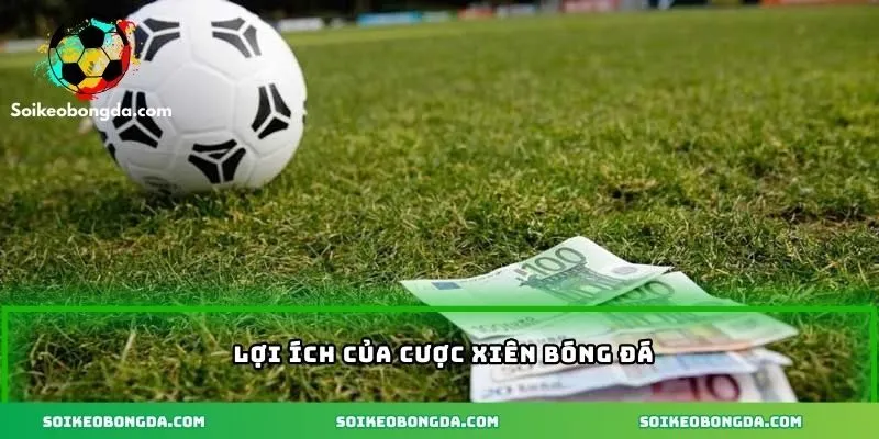 Lợi ích khi cược xiên bóng đá