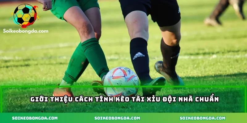 gioi-thieu-cach-tinh-keo-tai-xiu-doi-nha-chuan