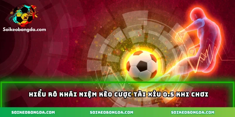 hieu-ro-khai-niem-keo-cuoc-tai-xiu-0-5-khi-cjoi