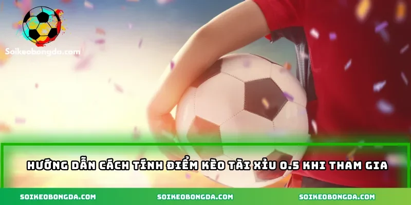 huong-dan-cach-tinh-diem-keo-tai-xiu-0-5-khi-tham-gia