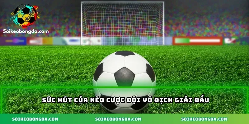 imgi 3 71 2 suc hut cua keo cuoc doi vo dich giai dau