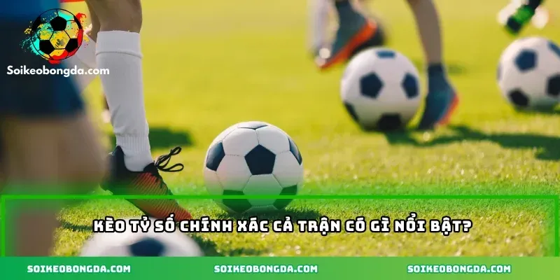 imgi 3 76 2 keo ty so chinh xac ca tran co gi noi bat