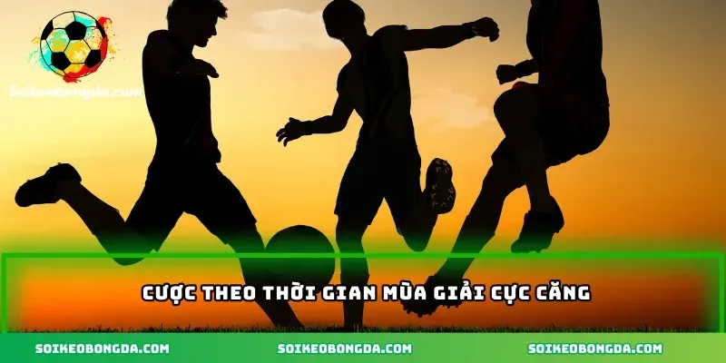 imgi 4 71 3 cuoc theo thoi gian mua giai cuc cang