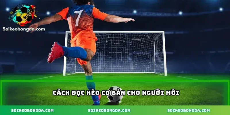 imgi 4 89 3 cach doc keo co ban cho nguoi moi