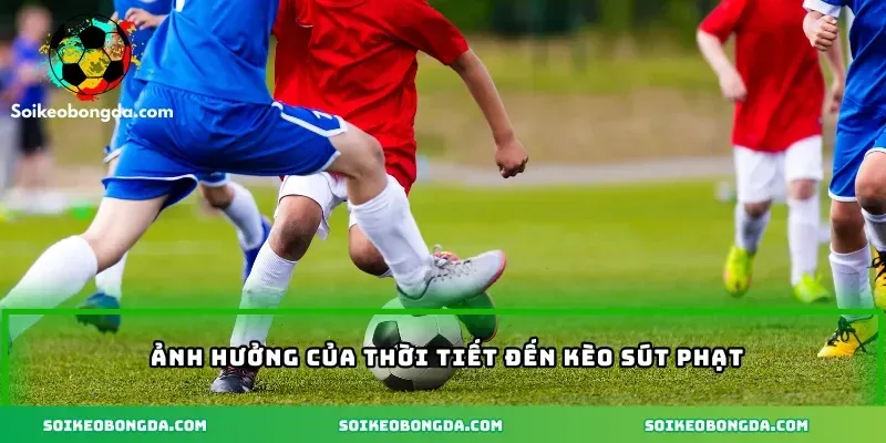 imgi 5 65 4 anh huong cua thoi tiet den keo sut phat