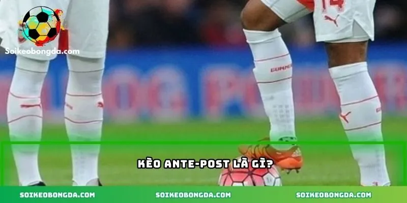 Tìm hiểu về kèo ante-post
