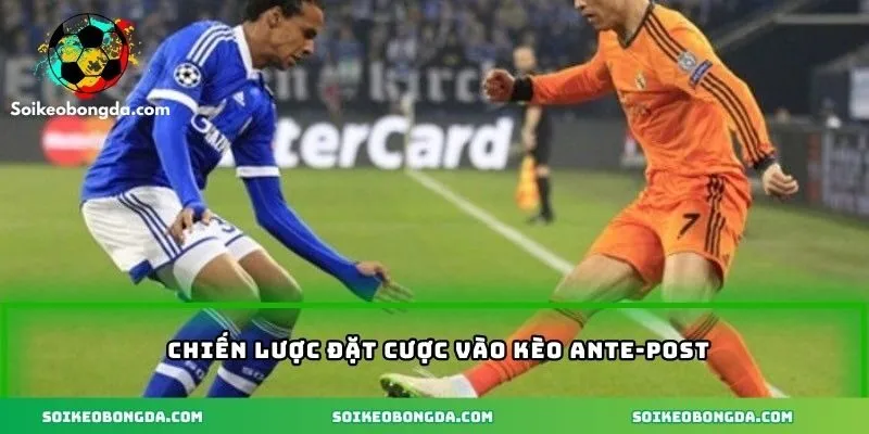 Chiến lược khi cược vào kèo ante-post