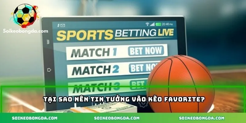 Có nên tin tưởng vào kèo cửa trên?