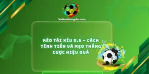 keo-tai-xiu-0-5-cach-tinh-tien-va-meo-thang-cuoc