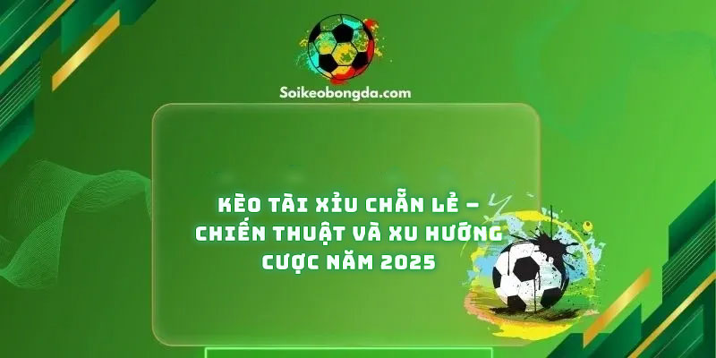 keo-tai-xiu-chan-le-chien-thuat-va-xu-huong-cuoc