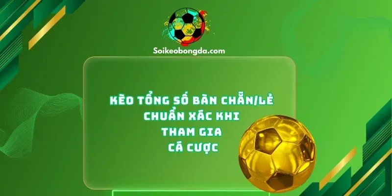 keo-tong-so-ban-chan-le-chuan-xac-khi-tham-gia-ca-cuoc