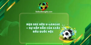 meo-soi-keo-v-league-su-hap-dan-cua-giai-quoc-noi