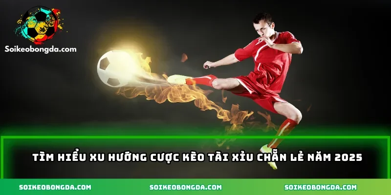 tim-hieu-xu-huong-cuoc-keo-tai-xiu-chan-le-2025