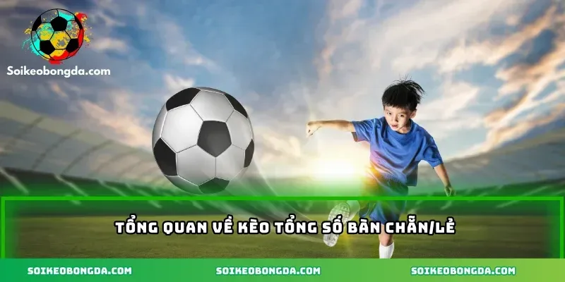 tong-quan-ve-keo-tong-so-ban-chan-le