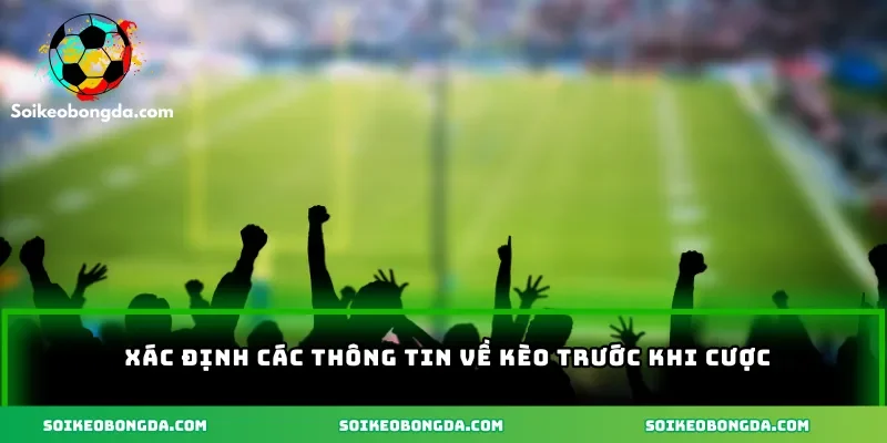 xac-dinh-cac-thong-tin-ve-keo-truoc-khi-cuoc