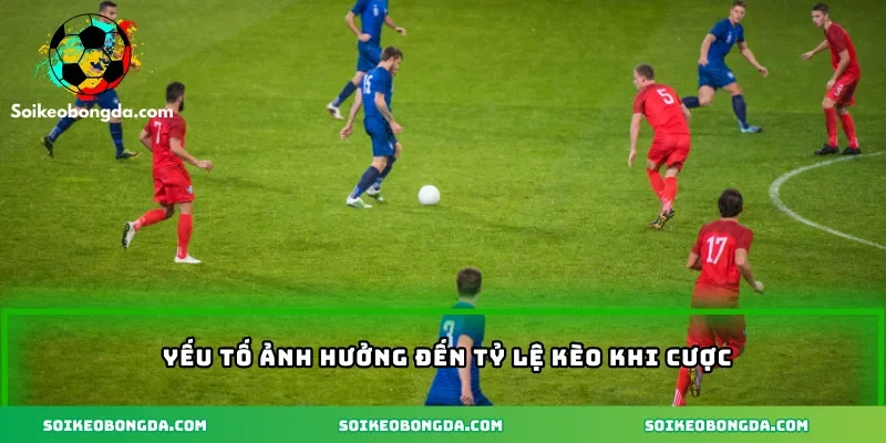 yeu-to-anh-huong-den-ty-le-keo-khi-cuoc