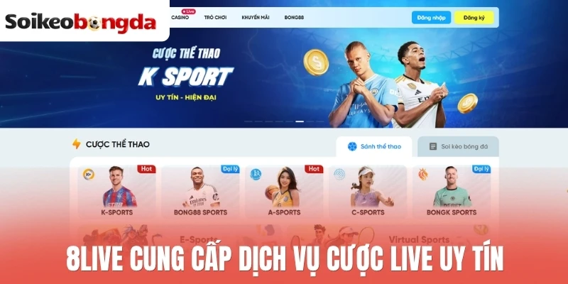 8Live cung cấp dịch vụ cược live uy tín