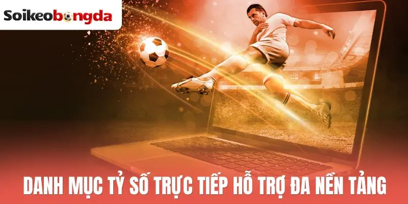 Livescore 64 Danh mục tỷ số trực tiếp hỗ trợ đa nền tảng