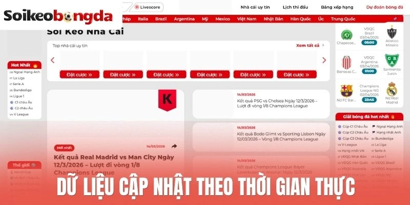 Dữ liệu cập nhật theo thời gian thực