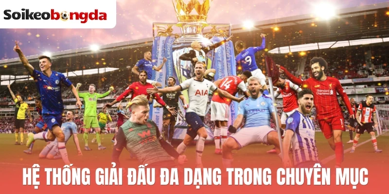 Lịch thi đấu bóng đá hôm nay 29 Hệ thống giải đấu đa dạng trong chuyên mục
