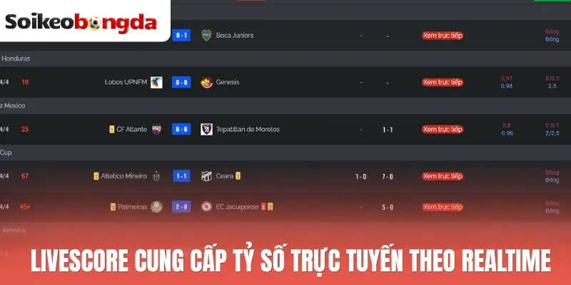 Livescore 61 Livescore cung cấp tỷ số trực tuyến theo realtime