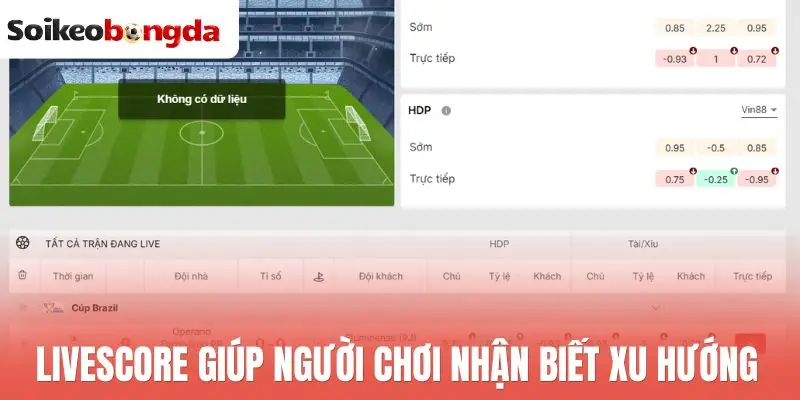 Livescore 65 Livescore giúp người chơi nhận biết xu hướng