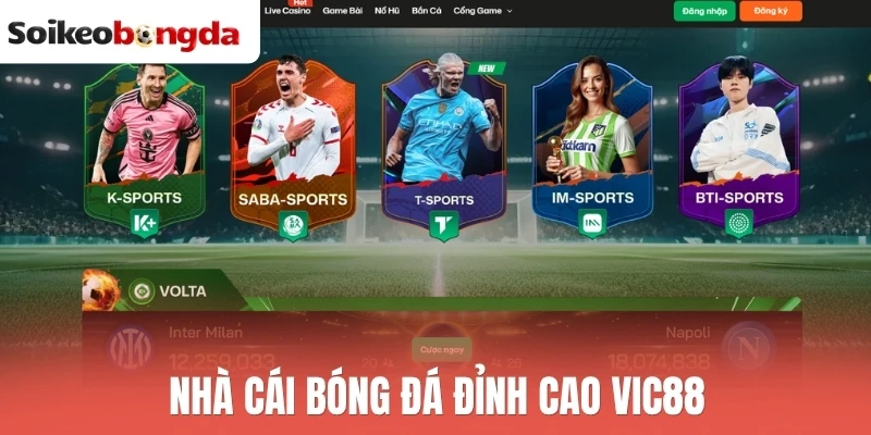 Nhà cái bóng đá đỉnh cao Vic88