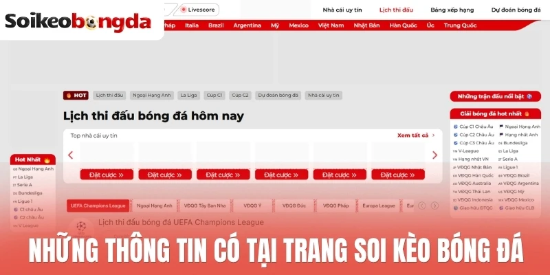 Những thông tin có tại trang soi kèo bóng đá