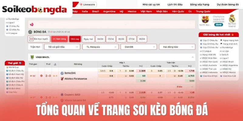 Tổng quan về trang soi kèo bóng đá 