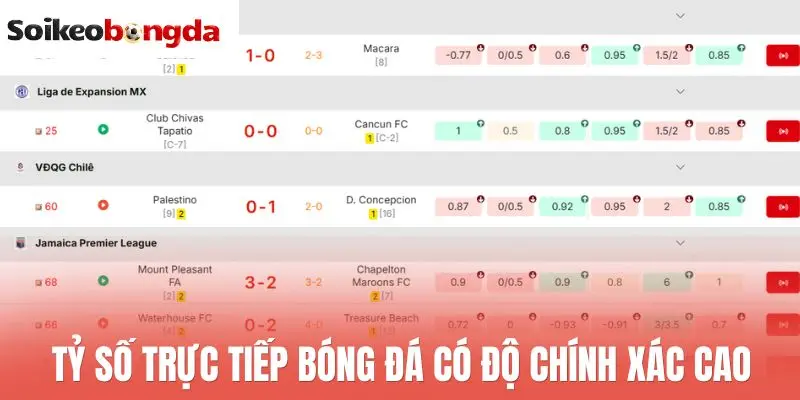 Livescore 63 Tỷ số trực tiếp bóng đá có độ chính xác cao